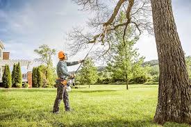 Best Hedge Trimming  in Fort Pierce, FL